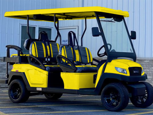 golf cart maintenance, augusta golf cart service, battery service