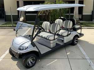 golf cart maintenance, augusta golf cart service, battery service
